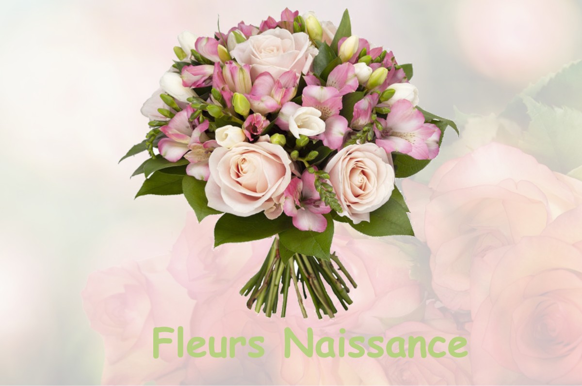 fleurs naissance NOISY-LE-GRAND