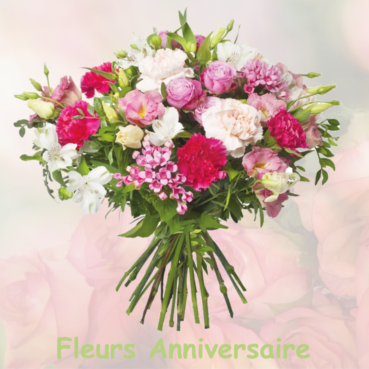 fleurs anniversaire NOISY-LE-GRAND